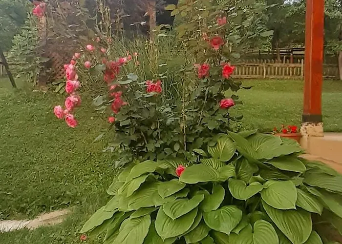 Kuca Za Odmor Kalina