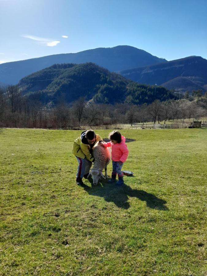 Holiday home Kuca Za Odmor Kalina