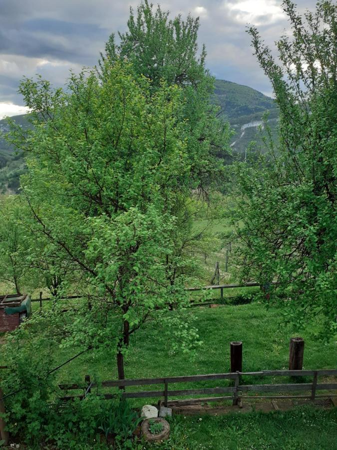 Holiday home Kuca Za Odmor Kalina Mokra Gora