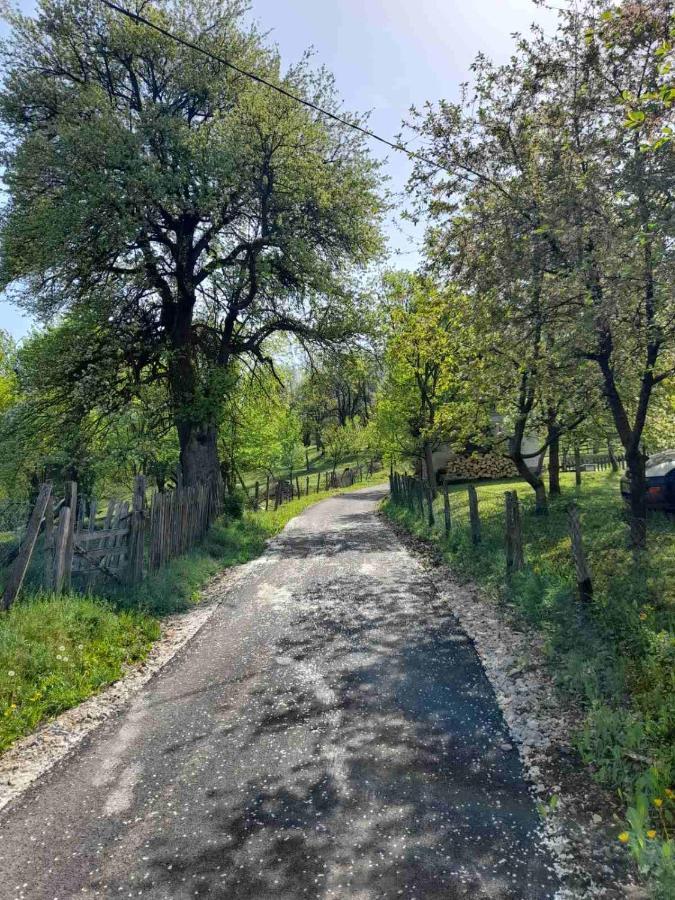 Kuca Za Odmor Kalina