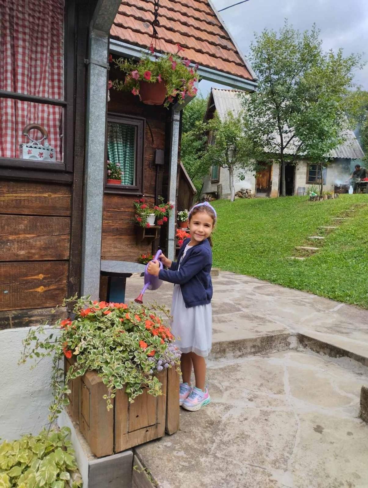 Kuca Za Odmor Kalina Holiday home Mokra Gora