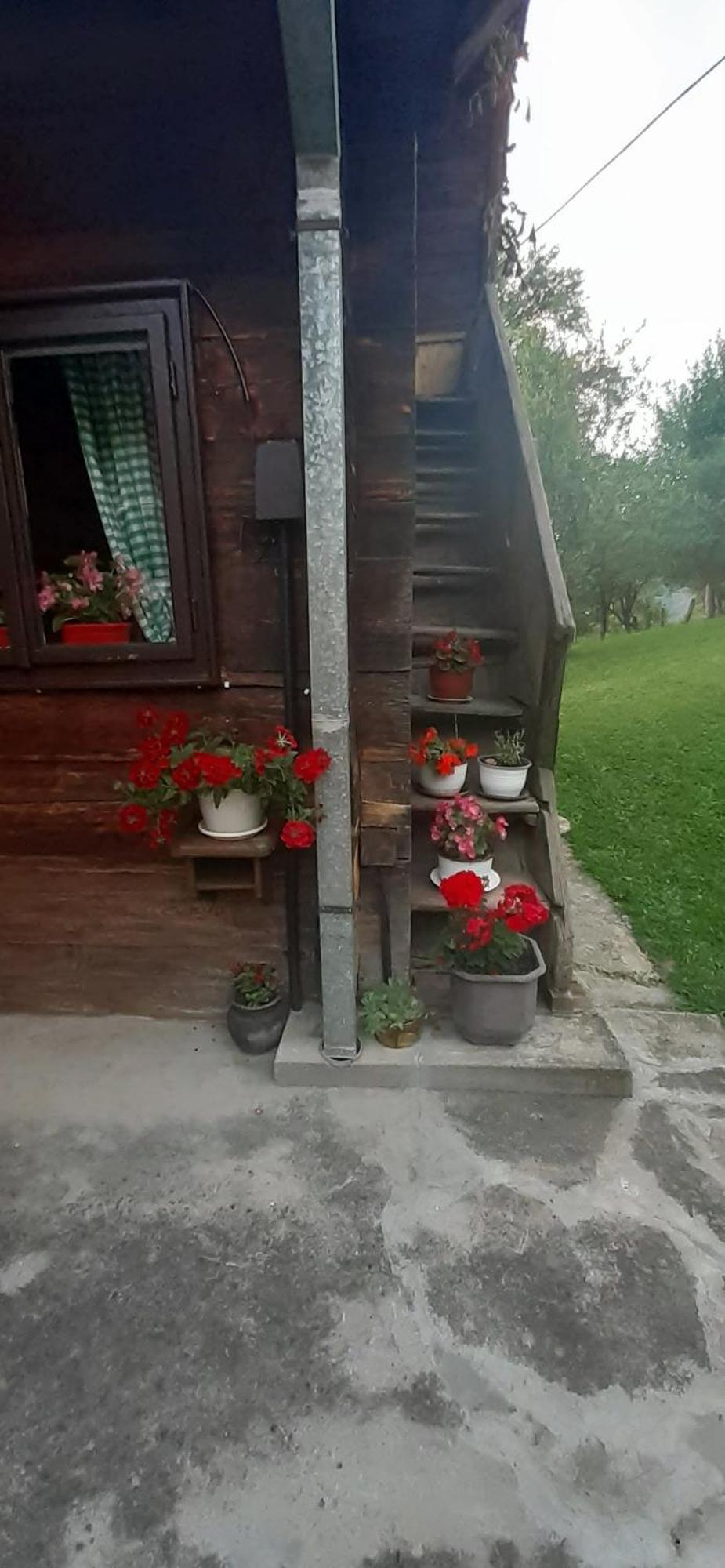 Kuca Za Odmor Kalina Mokra Gora